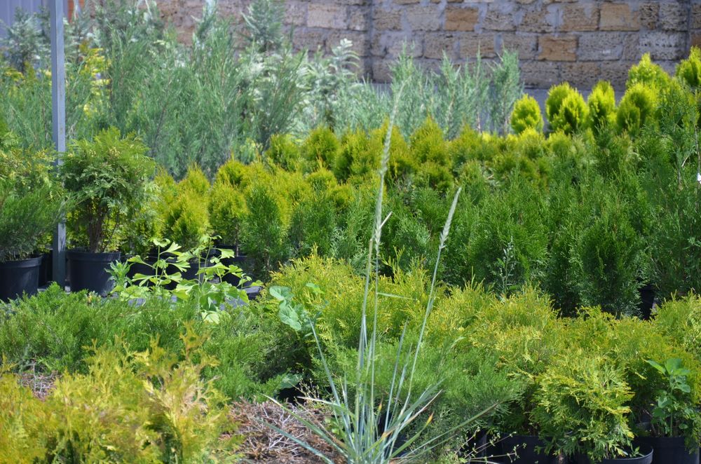 Корзина для дров, плетеная дровница, кошик з ротанга, Кашпо, дровниця