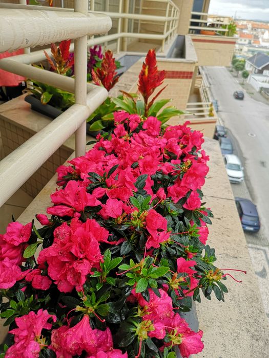 Apartamento de Luxo