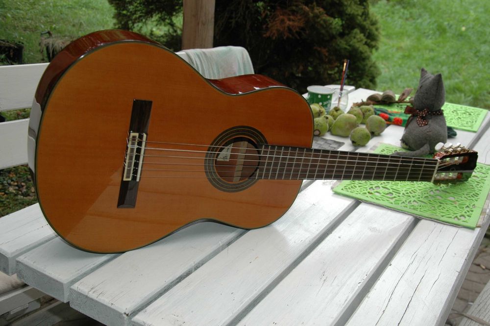 gitara klasyczna Aria