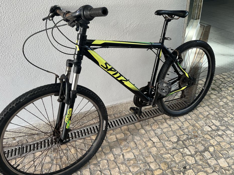 Bicicleta adulto
