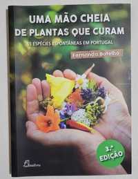 Uma mão cheia de plantas que curam (Fernanda Botelho)