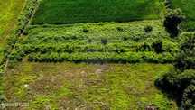 Terreno  para venda