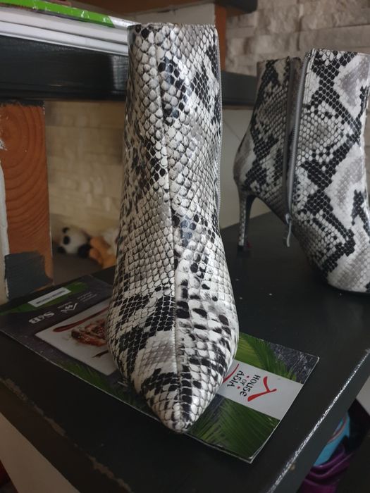 Kozaczki węża skorka