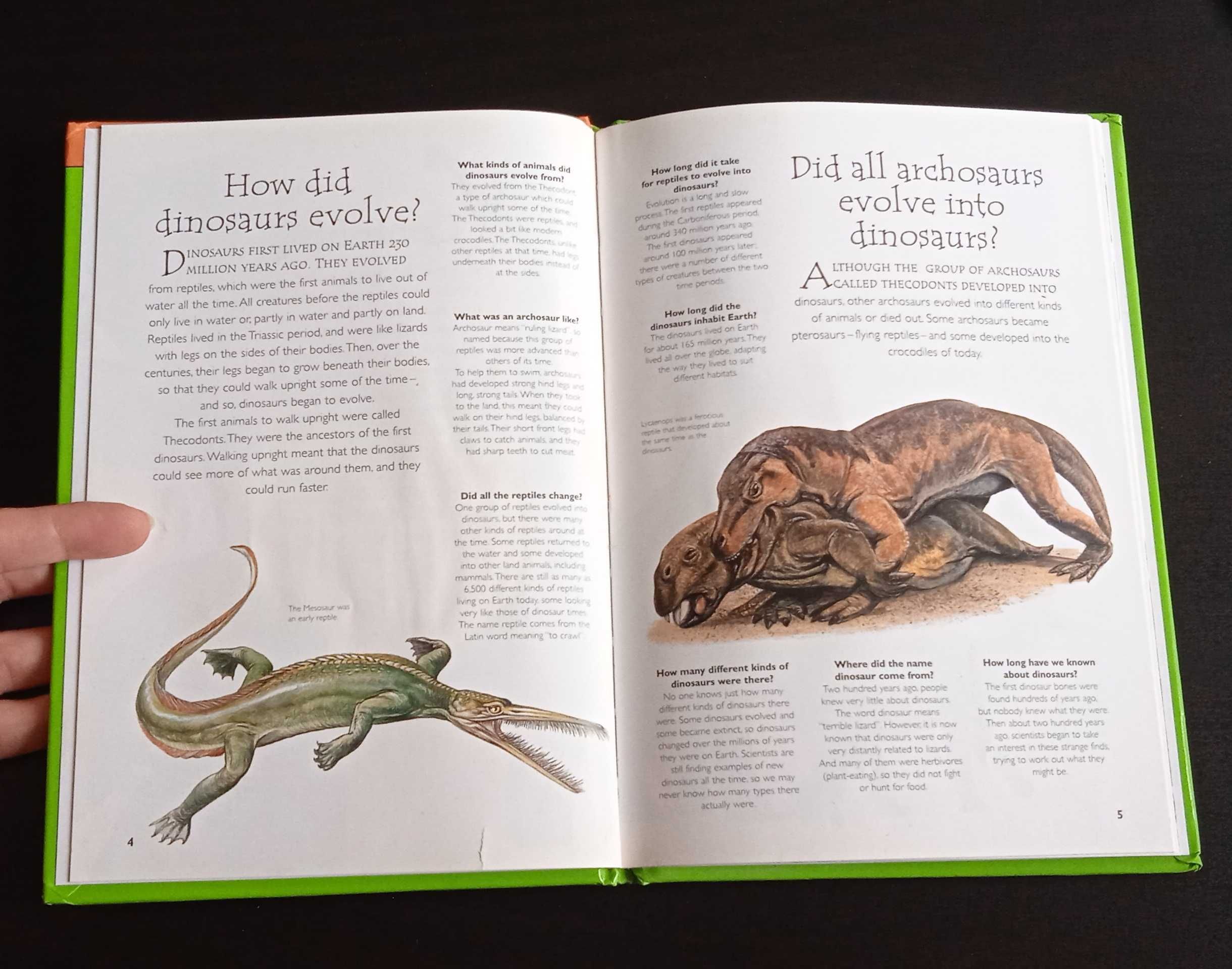 Dinosaurs książka o dinozaurach dinozaury po angielsku unikat