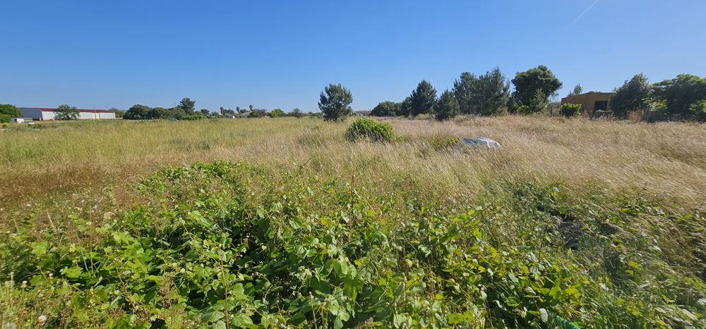 Moradia e terreno urbano 3105m2 OPORTUNIDADE!