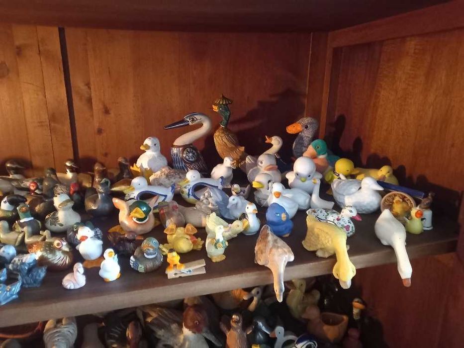 Patos decorativos para colecionadores