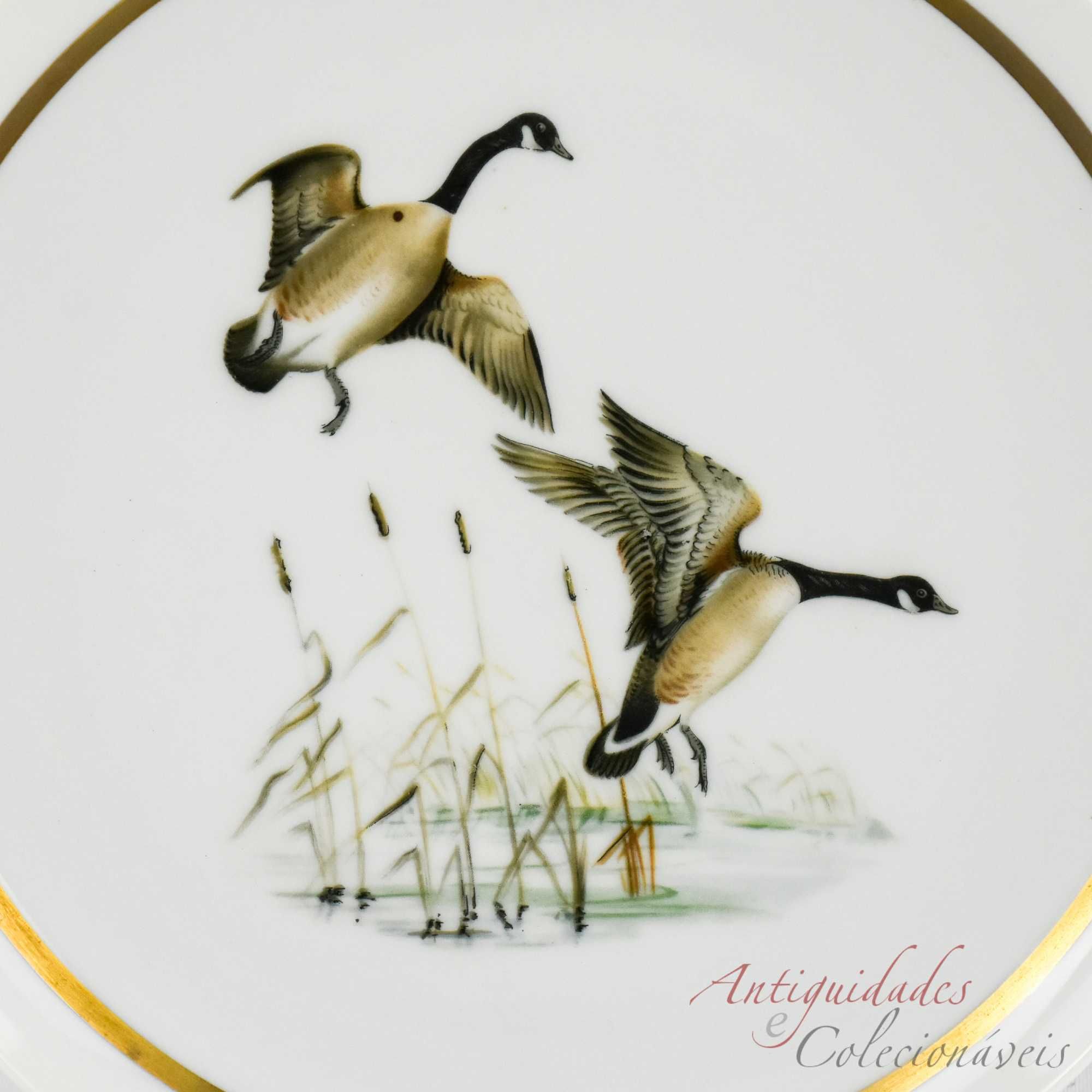 Prato porcelana Artibus decorado com patos bravos