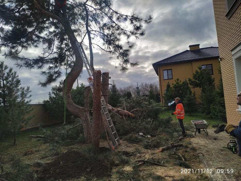 Корчевка пней, деревьев ,Культивация Земли,вспашка,Уборка територии