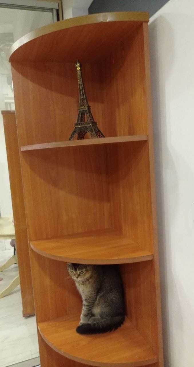 угловой стеллаж ЛДСП