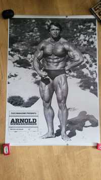 Arnold Schwarzenegger plakat na płótnie 50x70cm nowy