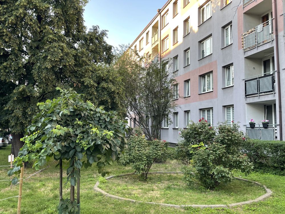Bytom ul. Wrocławska 112 Kawalerka 30,9 m2    Parter