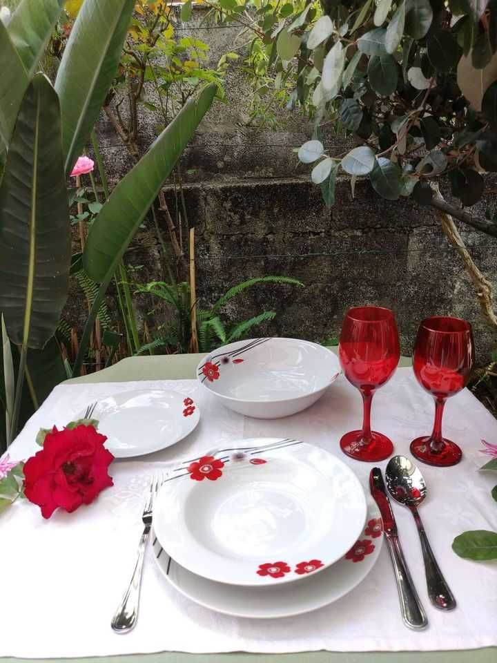 OPORTUNIDADE-Serviço de jantar 19 pçs + 6 copos com pé vermelhos