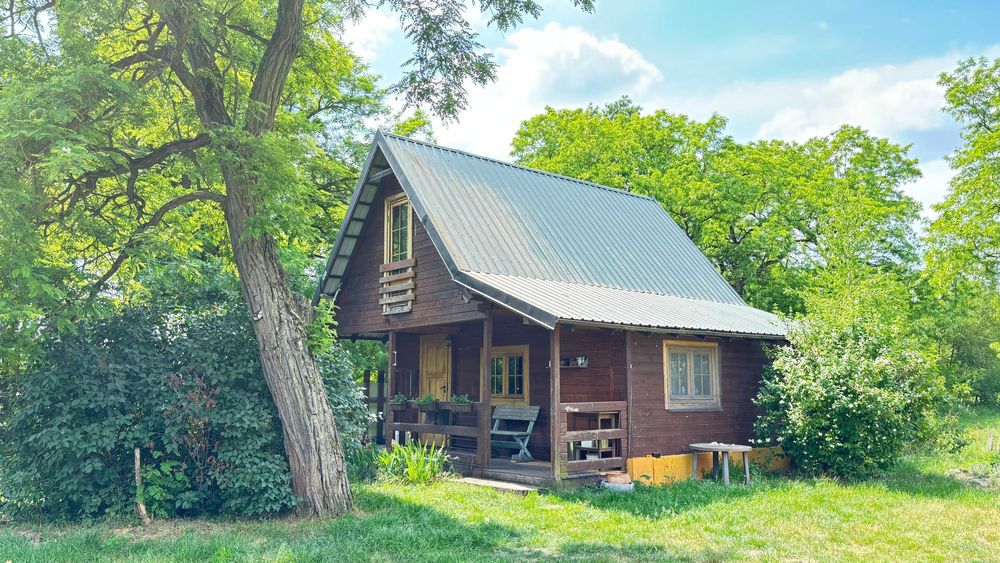 Drewniany domek na skraju lasu koło Kazimierz Dolny Janowiec nad Wisłą