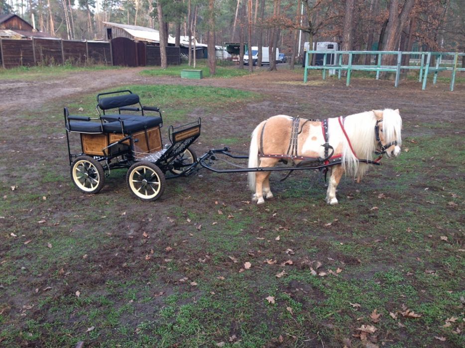 Пони и Тележка для пони