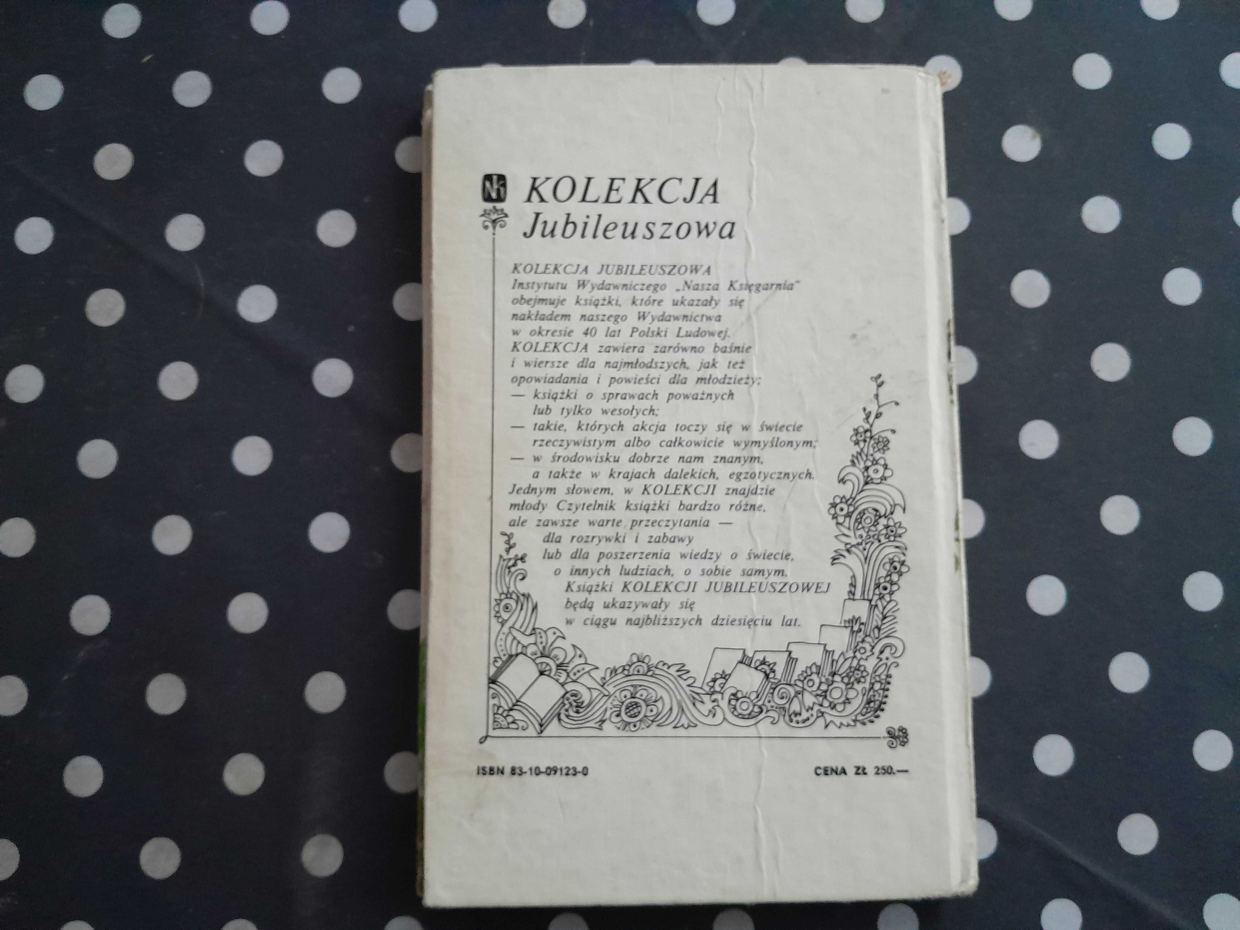 Tabliczka marzenia Halina Snopkiewicz