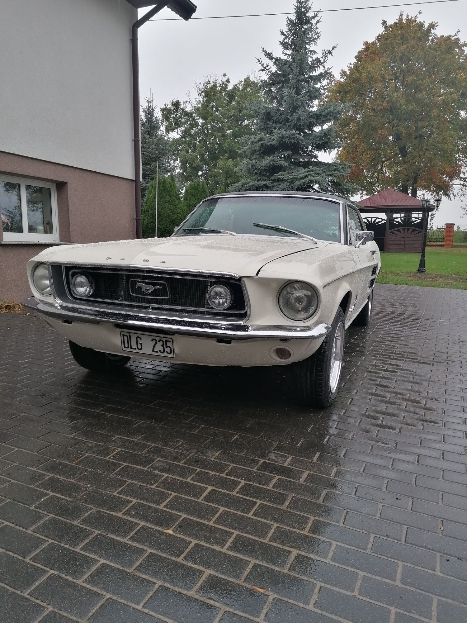 Ford mustang 1967