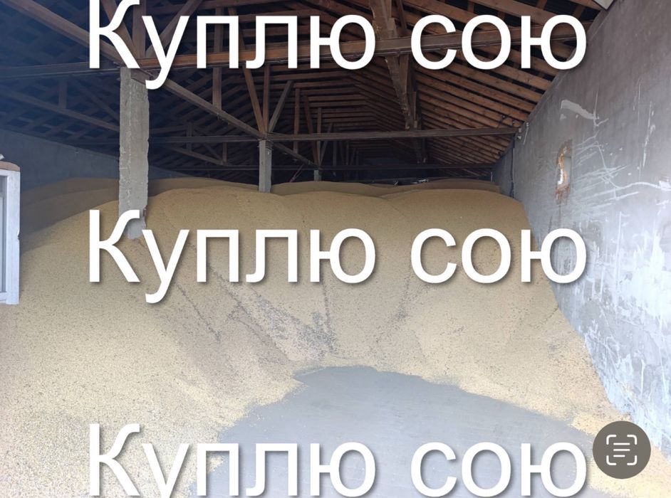 Соя цікавить нас по західній Україні. Самовивіз.