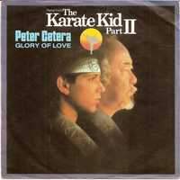 Vinil antigo Karate kid -Peter Cetera