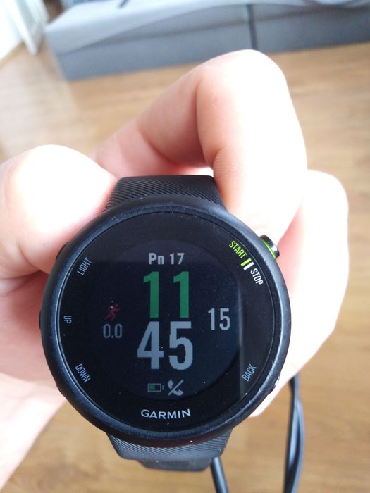 Garmin forerunner 45