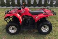 Quad Yamaha Bruin 250