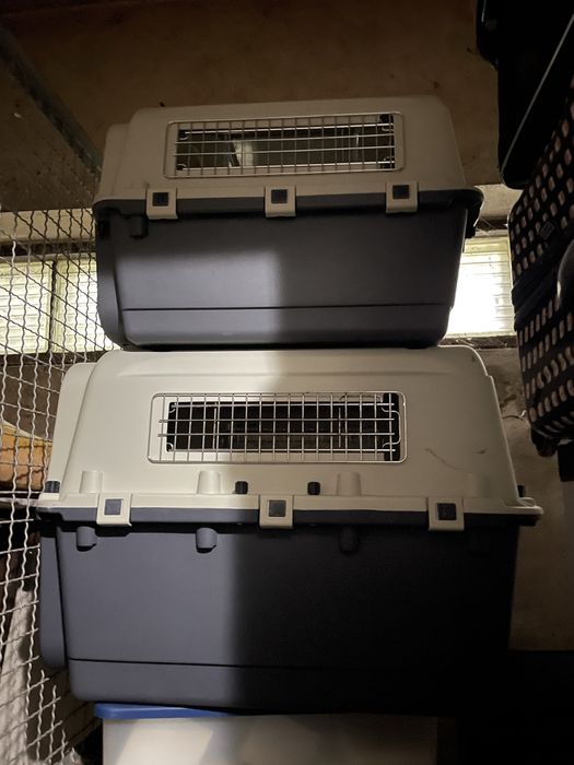 Caixas para transporte de cão  (Vendo em separado)
