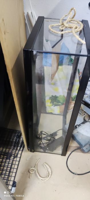 Terrário para tartarugas