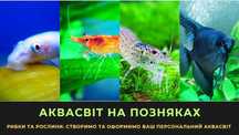 Акваріумні рибки