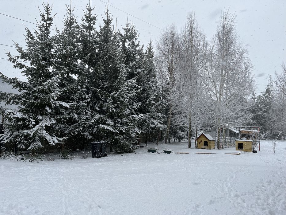 Nieruchomość pod agro lub usługi duży ogród