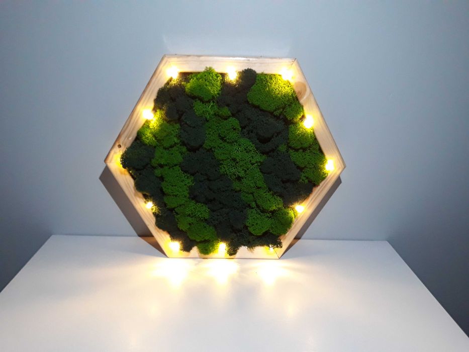 Сота з стабілізованим мохом з підсвіткою