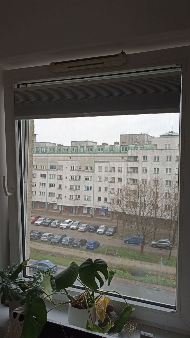 Plisy ecru/beż 2szt