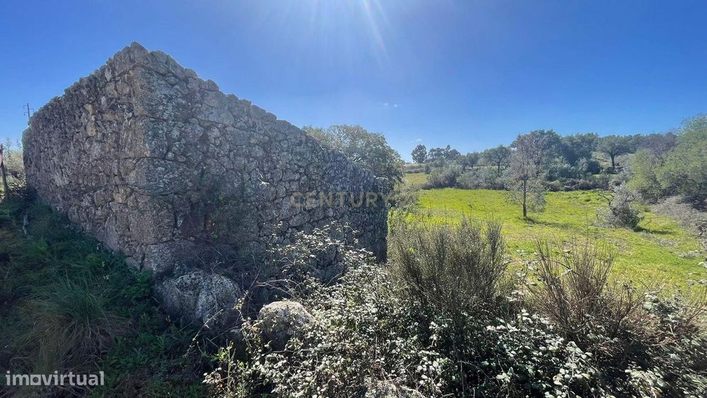 Terreno Rústico | Ninho do Açor/Sobral do Campo, Castelo Branco