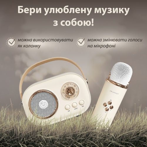 Портативна колонка з мікрофоном Platinum C-20 BT/TF/USB/FM