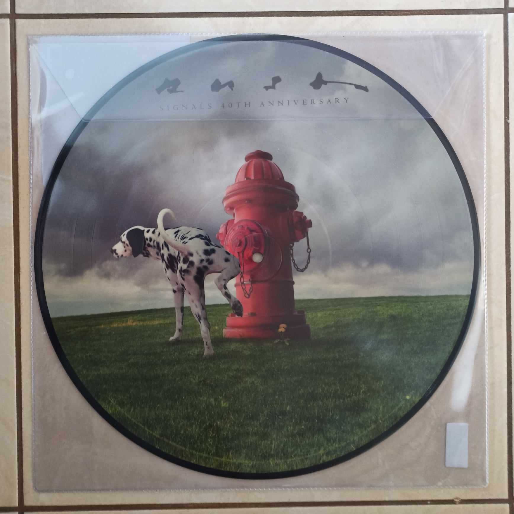 LP: Rush - "Signals" 40th - picture disc; Mint/nowa/folia