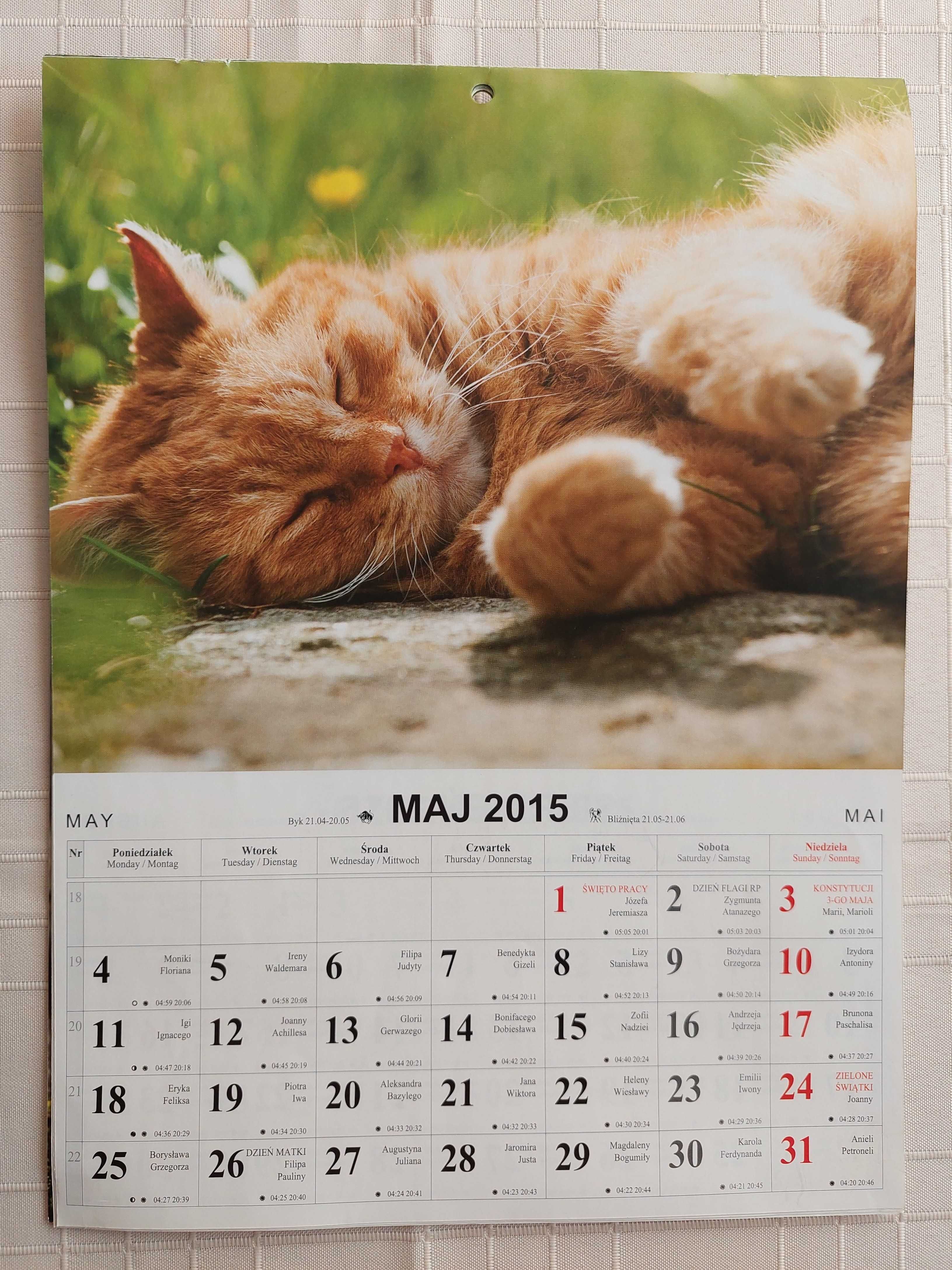 Kalendarze Avanti - Koty (2014 i 2015)