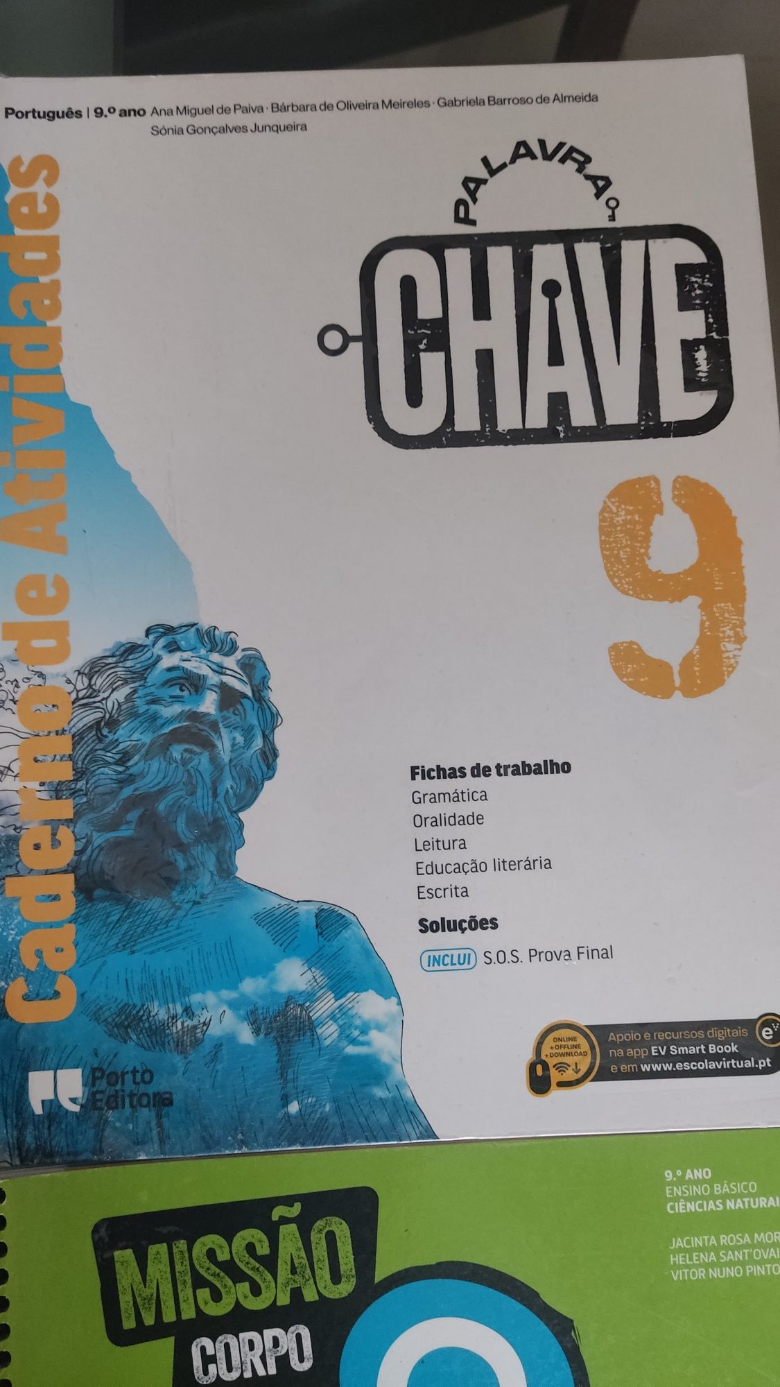Cadernos de atividades 9° ano