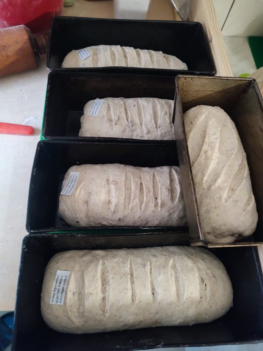 Chlebek  z Pradawnych odmian zbóż 2 szt