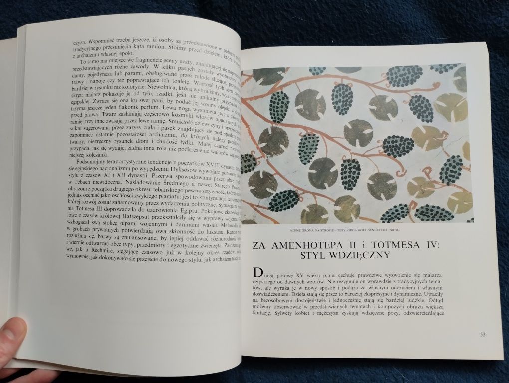 Malarstwo egipskie. Album o sztuce