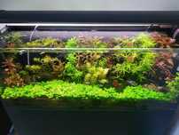 Calha de Iluminação de aquário Odyssea Dual Pro T5 HO Series