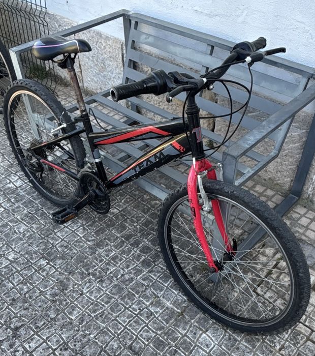 Bicicleta de Criança/Jovem