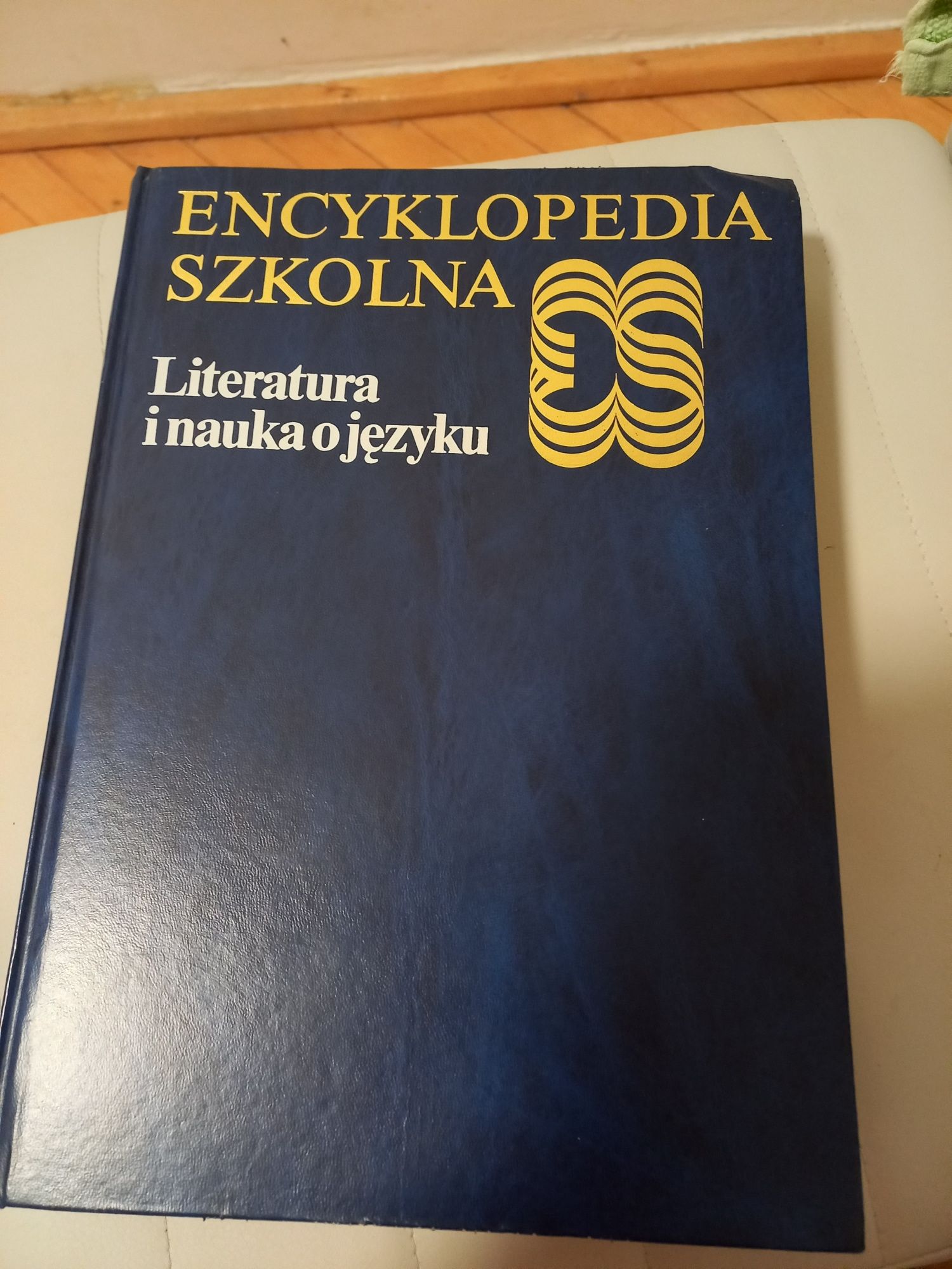 Książka Encyklopedia szkolna