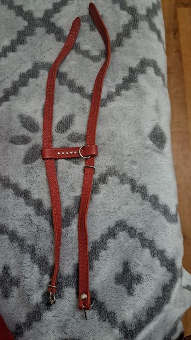 Продам шлейку для собак