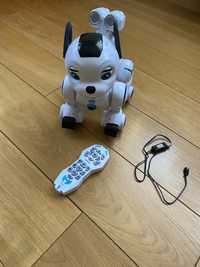 Robot Interaktywny Pies Zdalnie Sterowany Programowanie
