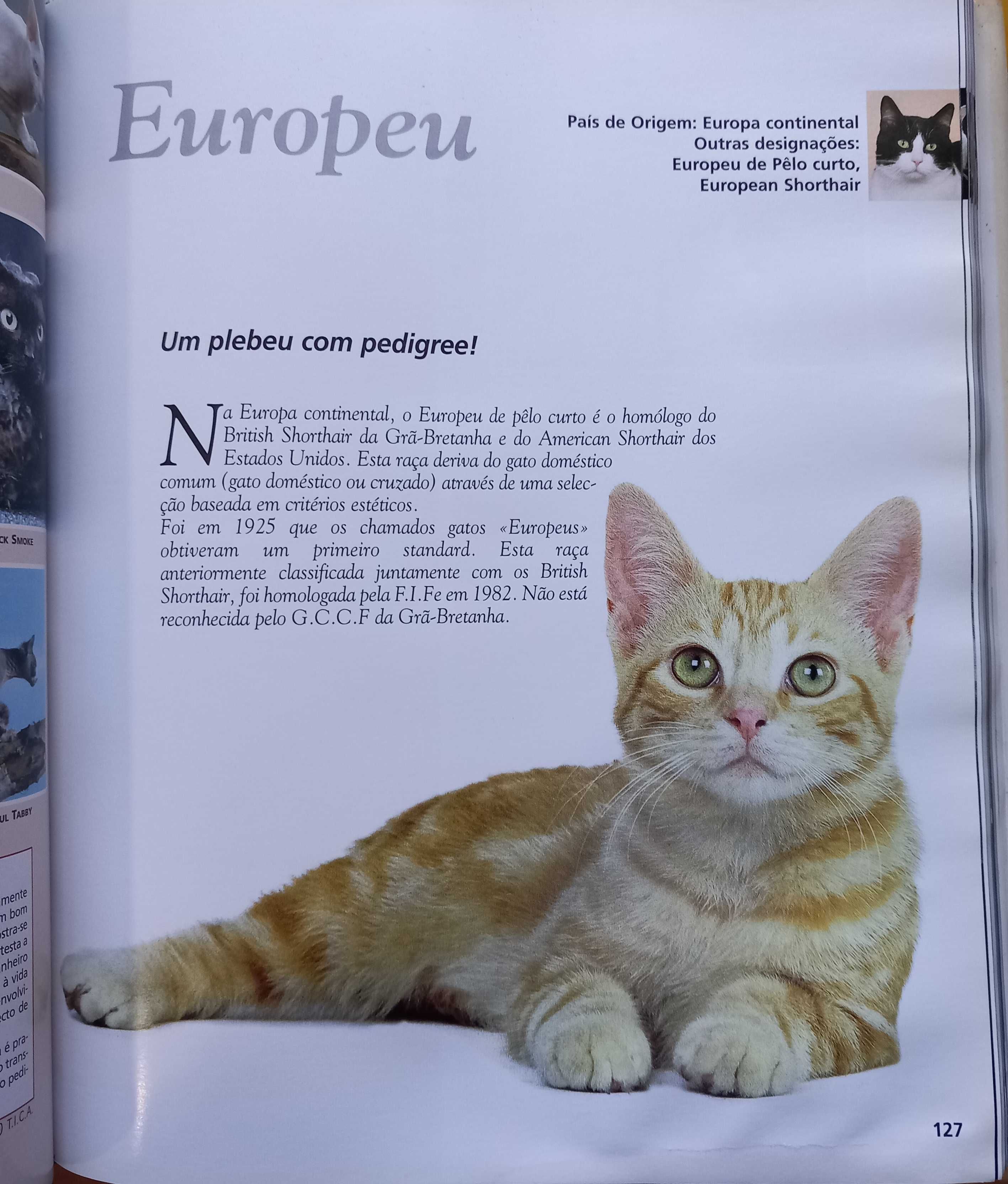 Enciclopédia do Gato - Royal Canin