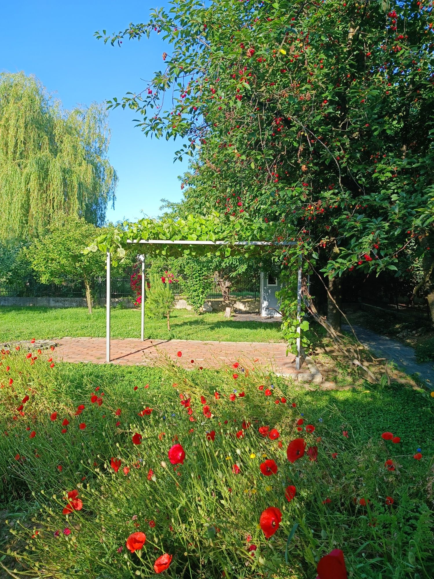 Pergola zadaszenie 2x3m bardzo dobry