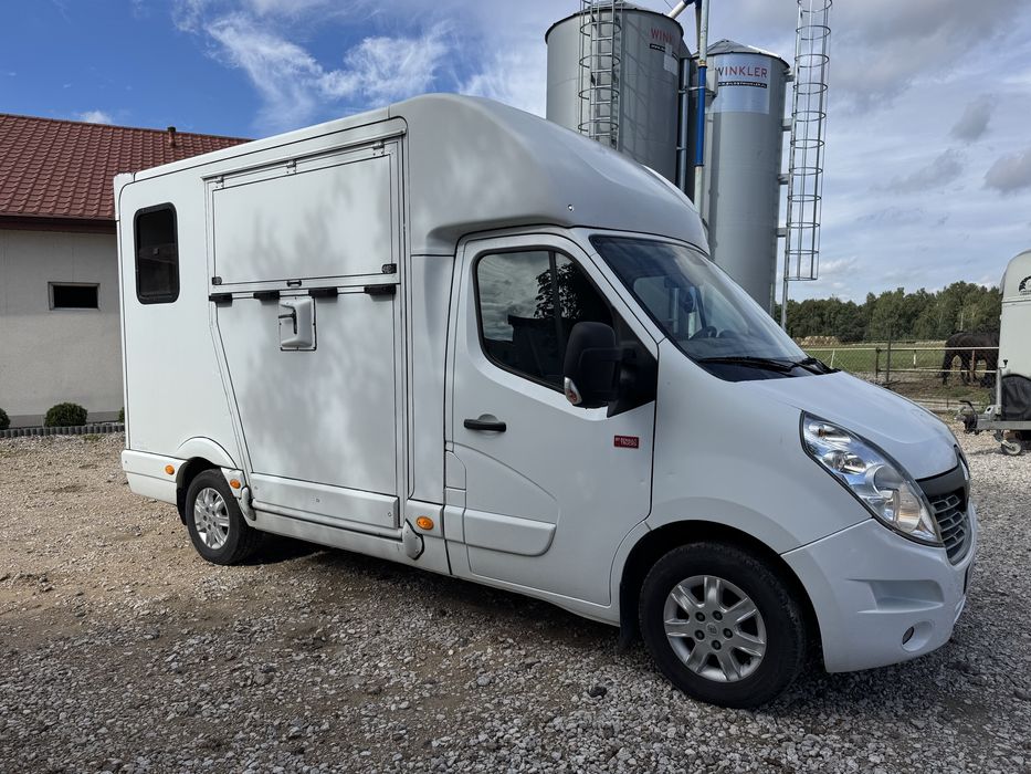 Renault Master koniowóz 2.3 diesel 165 KM do przewozu koni zwierzat FV