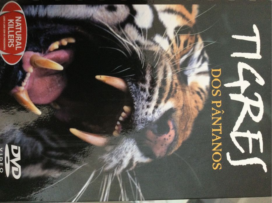 DVD -Documentário sobre os Tigres de Bengala