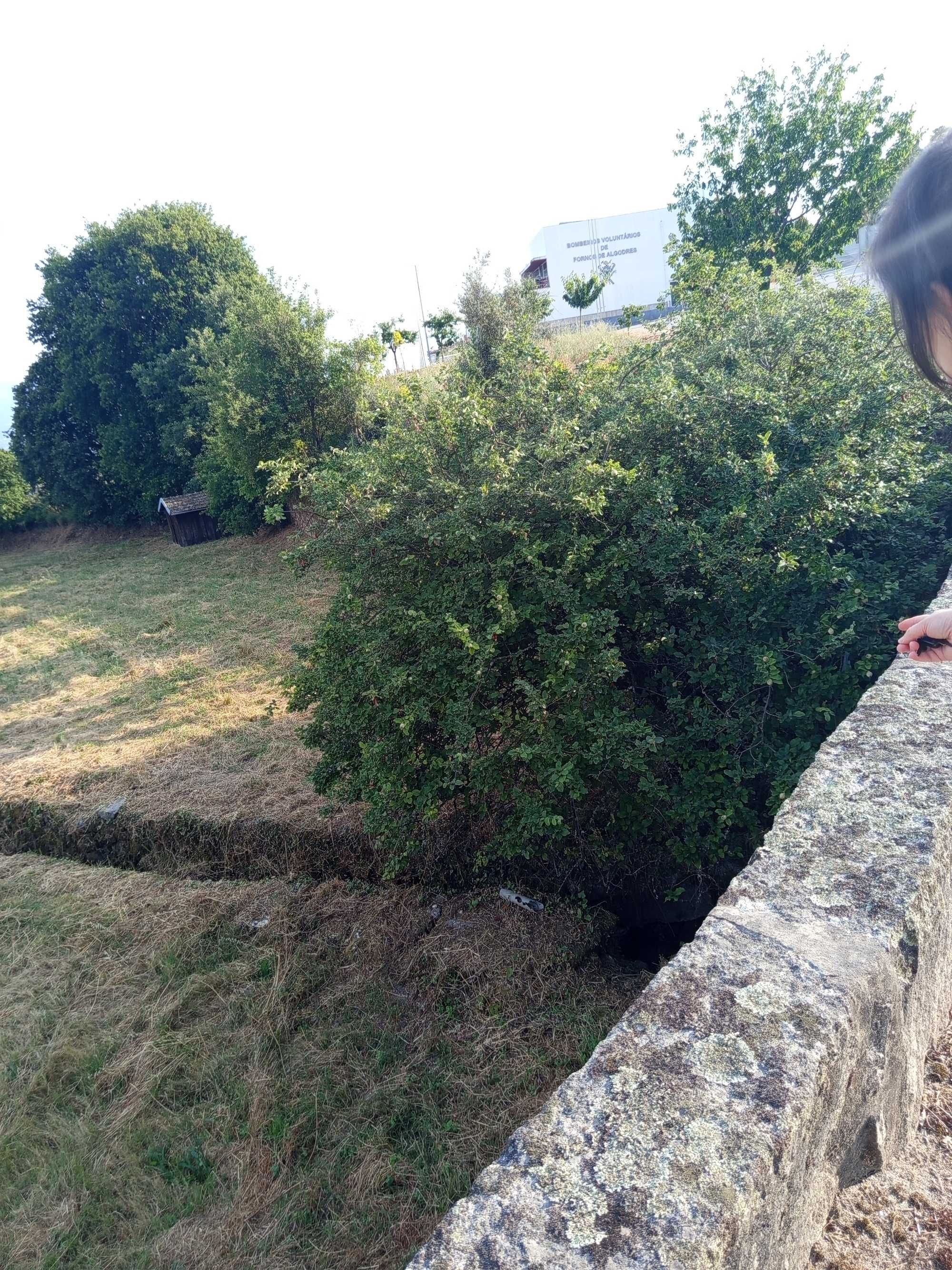 Vendo terreno em Fornos de Algodres