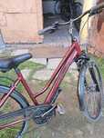 Rower kross trans 5.0
