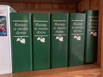 Kwiaty w moim domu