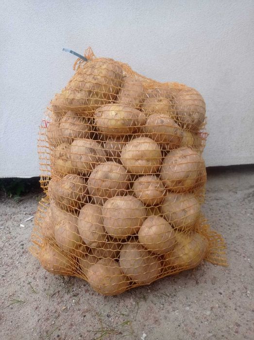 Sprzedam ziemniaki Vineta, Gala